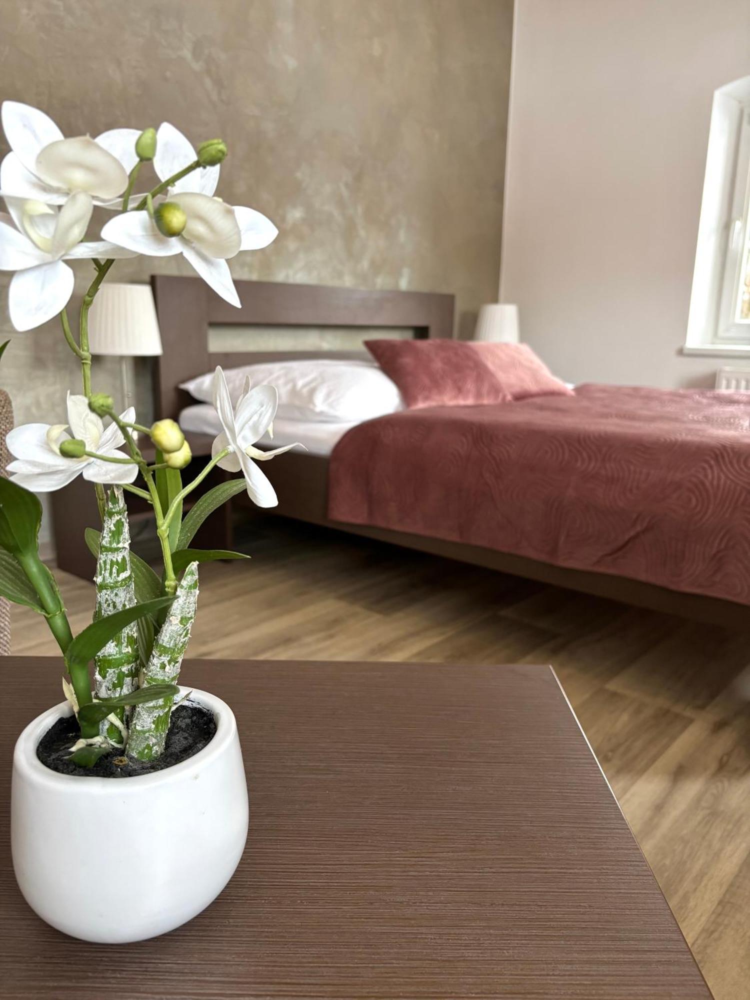 Penzion Sen Černá v Pošumaví Zimmer foto